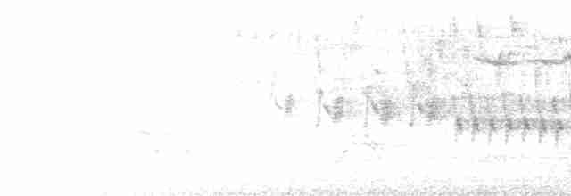 Зяблик звичайний - ML619700974