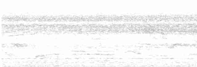 luňák bělohlavý - ML619701226