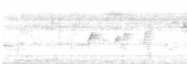 langhaleskredderfugl - ML619701472