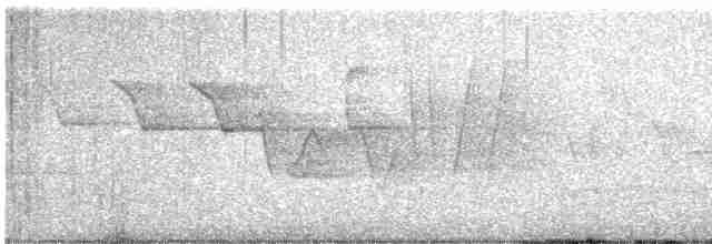 Трясогузковый певун - ML619701746
