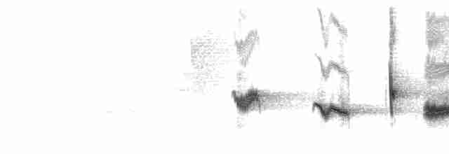 Чернокрылая пиранга - ML619701788