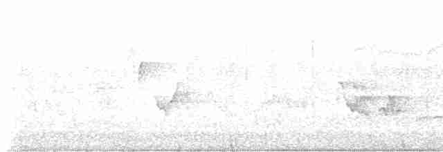 svartbrystparula - ML619701915