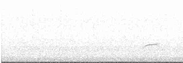 Дрізд-короткодзьоб Cвенсона - ML619702209