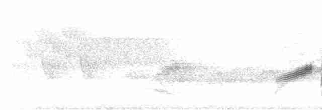 Бурый соловьиный дрозд - ML619703202