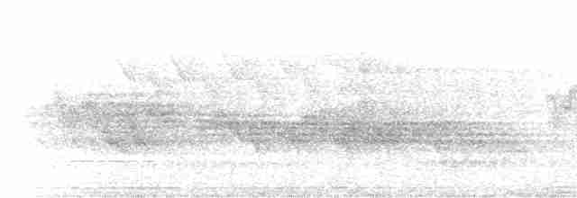 Чернокрылая пиранга - ML619703283