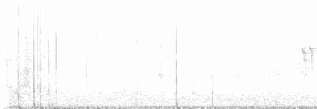 Малая вильсония - ML619704098