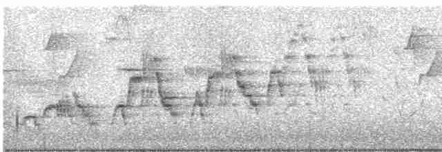 Дрізд-короткодзьоб Cвенсона - ML619704363