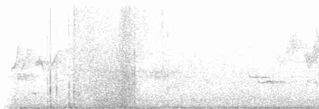 Черногорлая хвойница - ML619704461