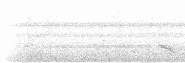 Мухолов-клинодзьоб сірий - ML619705408