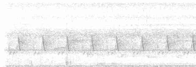 Kara Gerdanlı Terzikuşu - ML619706854