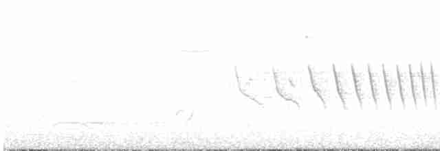 Черногорлая малая овсянка - ML619708174