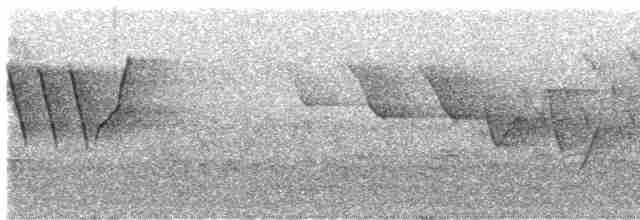 Трясогузковый певун - ML619708432