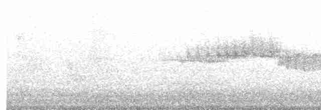 Paruline verdâtre - ML619708974