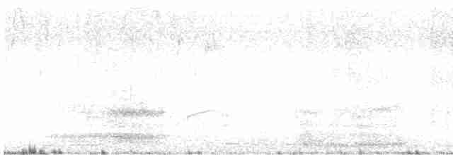 volavka bělostná - ML619709009