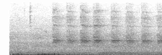 Alción de Esmirna - ML619710147