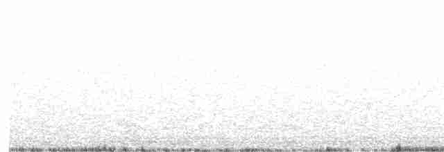 Піві-малюк сірий - ML619710273
