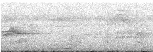 holub šedočelý - ML619710405