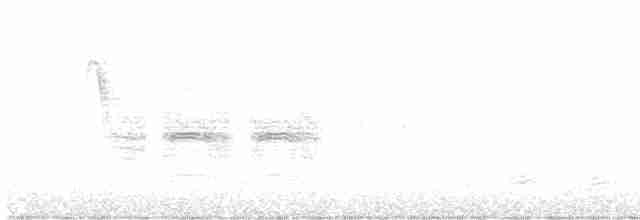 Горная гаичка - ML619710623