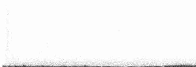 Малая вильсония - ML619711284