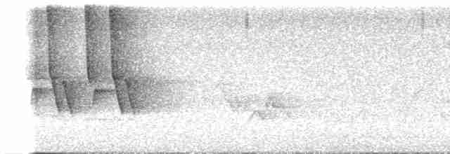 Дроздовый певун - ML619711745