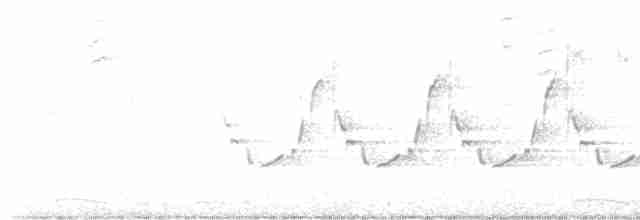 Инкская земляная горлица - ML619713291