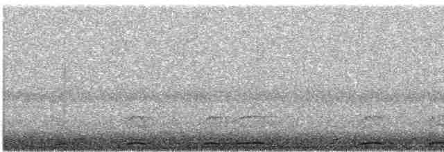 Chouette rayée - ML619713306