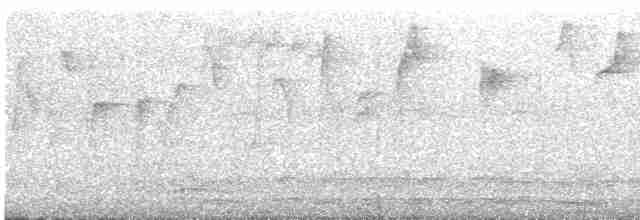 Сіпарая чорночерева - ML619713514