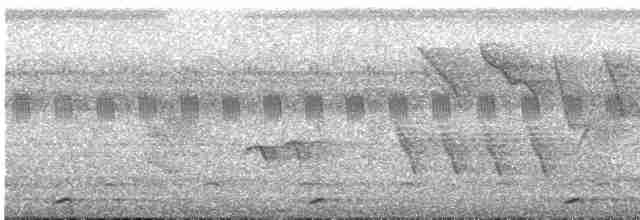 Barbu à plastron rouge (groupe intermedius) - ML619713533