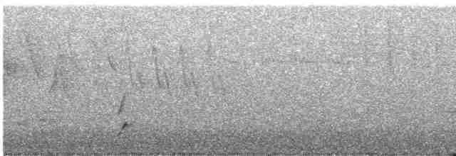 Дрізд-короткодзьоб Cвенсона - ML619713556