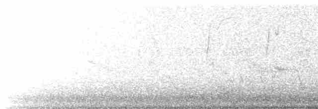 Black-throated Gray Warbler - ML619714092