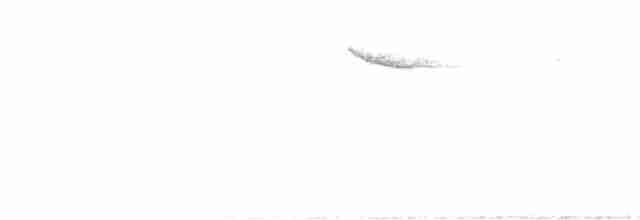 Akça Kaşlı Sinekkapan - ML619715057