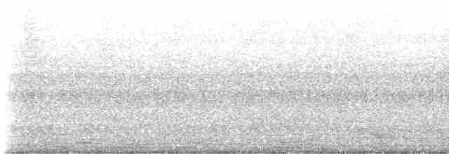 Black-collared Starling - ML619715091