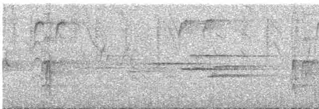 strakapoud bělohřbetý - ML619715183