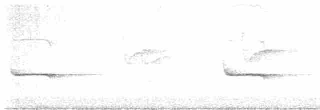 Wood Warbler - ML619715721