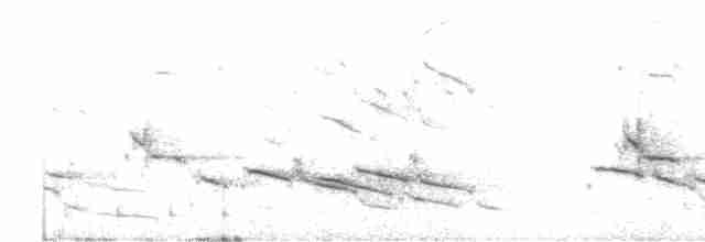 Сорочий сорокопут - ML619715813