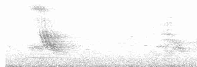 Spotless Starling - ML619715964