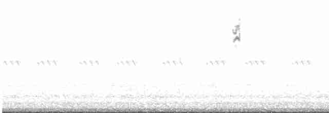 svartbrystparula - ML619716363