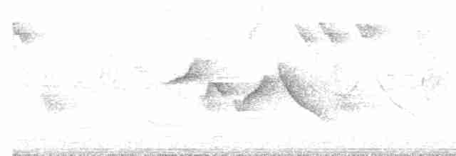 Common Rosefinch - ML619717104