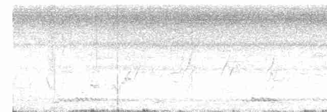 Puff-throated Babbler - ML619717152