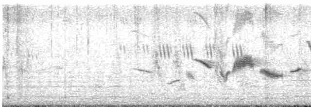 Трав’янка чорна - ML619717320