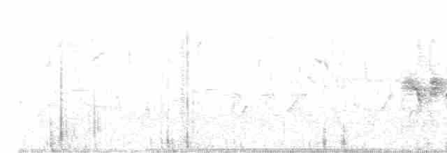 Кропив'янка сіра - ML619717386