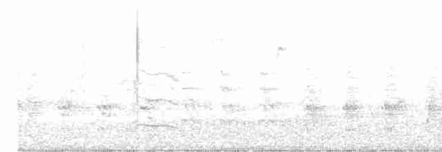 Great Reed Warbler - ML619717392