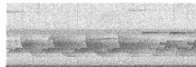 Каролинский крапивник - ML619717836