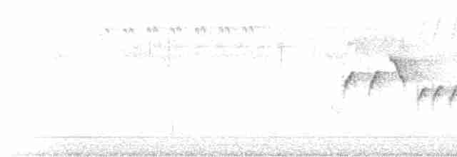 Длинноклювая нектарница - ML619718098