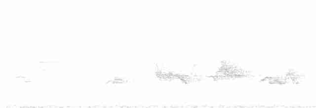 Kara Kanatlı Piranga - ML619718270