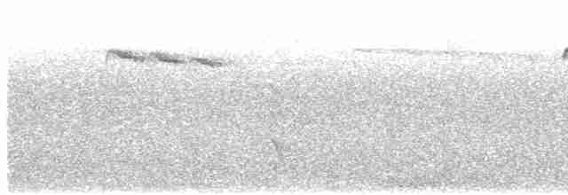 Long-tailed Tit - ML619718304