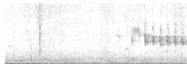 Klappergrasmücke - ML619718417