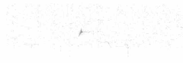Uzun Kuyruklu Çütre - ML619718628