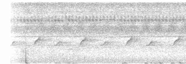 dvergedderkoppjeger - ML619719581