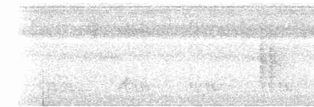 gråedderkoppjeger - ML619719630